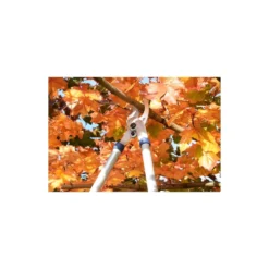Spear & Jackson Razorsharp Tele Bypass Lopper 12 Spear & Jackson Razorsharp Tele Bypass Lopper -Deals A Sunlit Garden Store 12810811 1464833196929633
