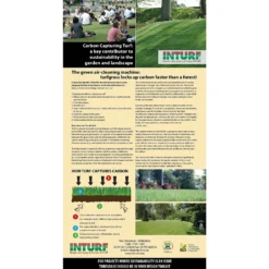 Classic Fresh Turf - 40 Rolls / 40sq M Coverage -Deals A Sunlit Garden Store 12811741 1885024224189758