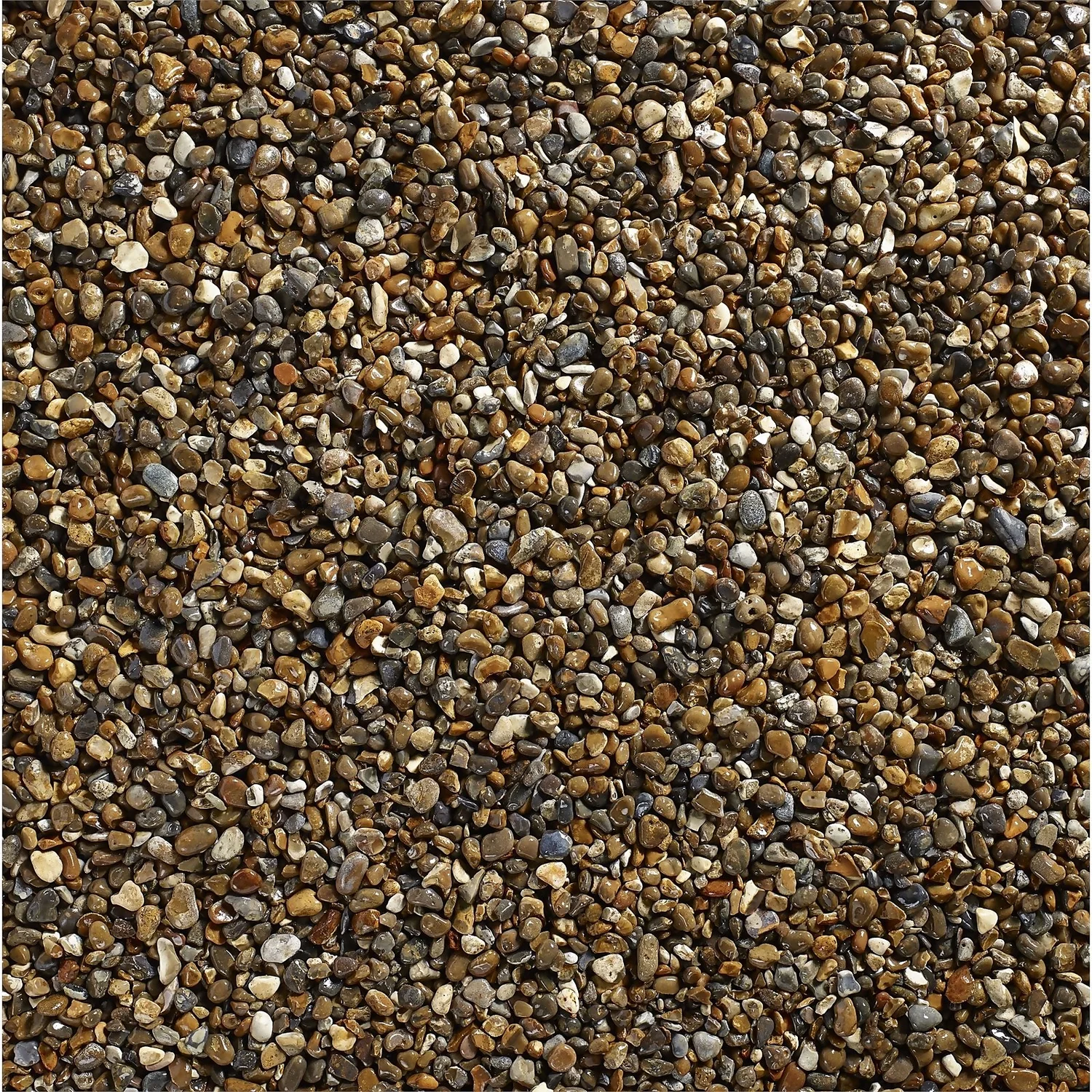 Stylish Stone Oyster Pearl Pebbles - Bulk Bag 750 G 3 Stylish Stone Oyster Pearl Pebbles - Bulk Bag 750 G - Image 3