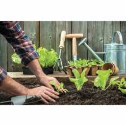 RHS Horticultural Potting Grit Large Pack - 20kg 11 RHS Horticultural Potting Grit Large Pack - 20kg -Deals A Sunlit Garden Store 12812881 1004857553526019