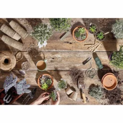 RHS Horticultural Potting Grit Large Pack - 20kg 10 RHS Horticultural Potting Grit Large Pack - 20kg -Deals A Sunlit Garden Store 12812881 1634857553487925