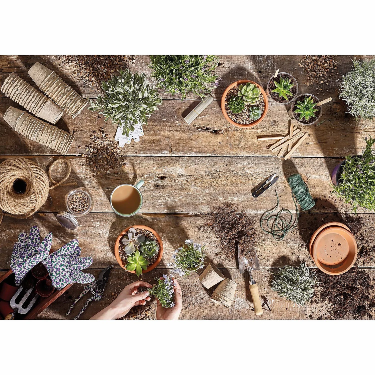 RHS Horticultural Potting Grit Large Pack - 20kg 4 RHS Horticultural Potting Grit Large Pack - 20kg - Image 4