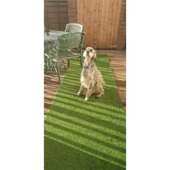 Nomow 20mm Meadow Grass Artificial Grass Roll - 2m Width -Deals A Sunlit Garden Store 12813441 1904843355255718