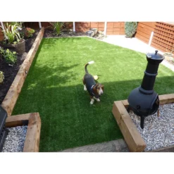 Nomow 20mm Meadow Grass Artificial Grass Roll - 2m Width -Deals A Sunlit Garden Store 12813441 4464843355284770