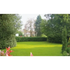 Nomow 28mm Garden Grass Artificial Grass Roll - 2m Width -Deals A Sunlit Garden Store 12816410 1224832990492835