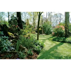 Nomow 40mm Luxury Lawn Artificial Grass Roll - 2m Width -Deals A Sunlit Garden Store 12819110 2964833199179033