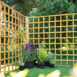 Heavy Duty Trellis - 183cm - Pack Of 10 -Deals A Sunlit Garden Store 12823564 7054833218363154