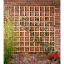 Forest Heavy Duty Garden Trellis - 3 X 6ft 6 Forest Heavy Duty Garden Trellis - 3 X 6ft -Deals A Sunlit Garden Store 12844436 9384833199705182