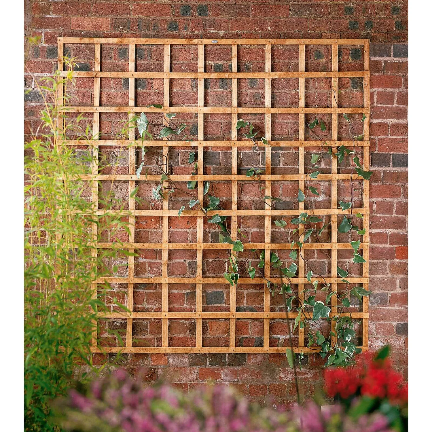 Forest Heavy Duty Garden Trellis - 3 X 6ft 3 Forest Heavy Duty Garden Trellis - 3 X 6ft - Image 3