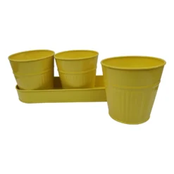 Zinc Ribbed Herb Pots & Tray -Deals A Sunlit Garden Store 13193962 1974933502681511