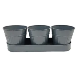 Zinc Ribbed Herb Pots & Tray -Deals A Sunlit Garden Store 13193962 4194933502656404