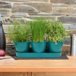 Zinc Ribbed Herb Pots & Tray -Deals A Sunlit Garden Store 13193962 7244933502600220