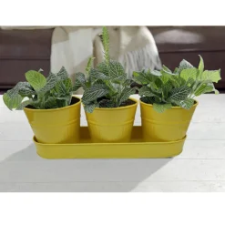 Zinc Ribbed Herb Pots & Tray -Deals A Sunlit Garden Store 13193962 8744933502628279