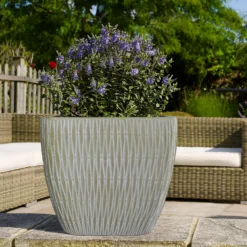 Deals A Sunlit Garden Store -Deals A Sunlit Garden Store 13470691 1334933184641662