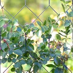 Agriframes Byzantine Garden Screen - W 1.2m X H 2.3m - Black -Deals A Sunlit Garden Store 13526231 1524974422531619