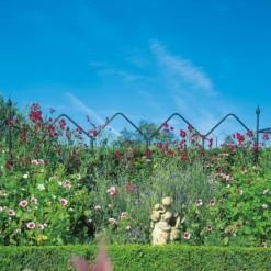 Agriframes Alpine Garden Screen - W 1.2m X H 1.7m - Black -Deals A Sunlit Garden Store 13526232 1374974424239918