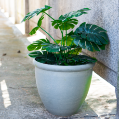 Ashford Planter Grey 35cm 8 Ashford Planter Grey 35cm -Deals A Sunlit Garden Store 13928636 1105001955420998