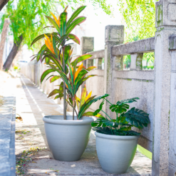 Ashford Planter Grey 35cm 11 Ashford Planter Grey 35cm -Deals A Sunlit Garden Store 13928636 1795001955680876