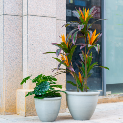 Ashford Planter Grey 35cm 10 Ashford Planter Grey 35cm -Deals A Sunlit Garden Store 13928636 4345001955583745