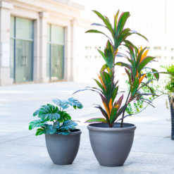 Ashford Planter Grey 45cm 11 Ashford Planter Grey 45cm -Deals A Sunlit Garden Store 13928637 1825001956470968