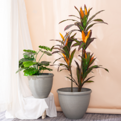 Ashford Planter Grey 45cm 10 Ashford Planter Grey 45cm -Deals A Sunlit Garden Store 13928637 7525001956362680