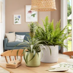 Scheurich Ripple White Indoor Pot - 17cm -Deals A Sunlit Garden Store 13953259 1184987120201059