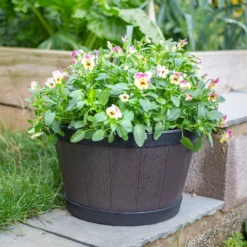 Banded Whiskey Barrel Planter - 39cm -Deals A Sunlit Garden Store 13973620 9525011238741097