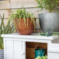 Featured Products -Deals A Sunlit Garden Store 13973652 1145011805950221