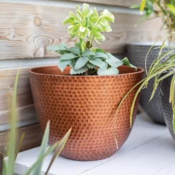 Suva Hammered Pot Copper - 31cm -Deals A Sunlit Garden Store 13973652 1715011805989134