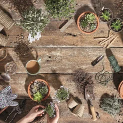 Stylish Stone Horticultural Potting Grit Midi Bag -Deals A Sunlit Garden Store 13996142 1945013107357973
