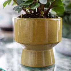 Chamfered Indoor Plant Pot - 13cm -Deals A Sunlit Garden Store 14197408 1935024191546788