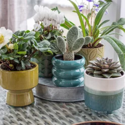 Chamfered Indoor Plant Pot - 13cm -Deals A Sunlit Garden Store 14197408 2085024191595313