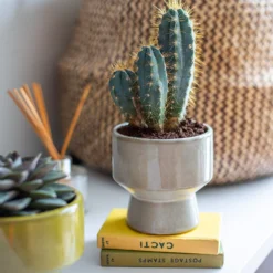 Chamfered Indoor Plant Pot - 13cm -Deals A Sunlit Garden Store 14197408 4575024191304589