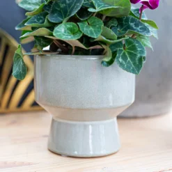 Chamfered Indoor Plant Pot - 13cm -Deals A Sunlit Garden Store 14197408 5435024191504467